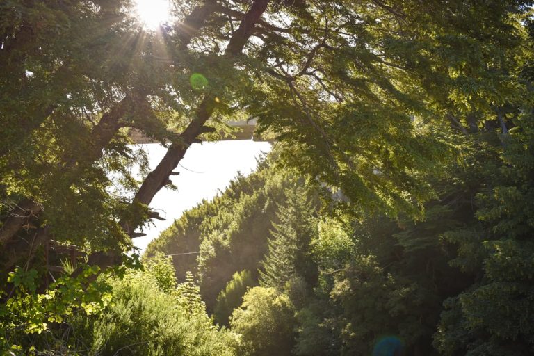 The Art of Slow Travel: Embracing Nature’s Pace